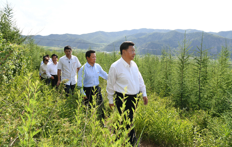 7月15日至16日，中共中央總書記、國家主席、中央軍委主席習近平在內(nèi)蒙古考察并指導開展“不忘初心、牢記使命”主題教育。這是15日下午，習近平在赤峰市喀喇沁旗馬鞍山林場林區(qū)，沿著崎嶇的護林小道察看林木長勢。