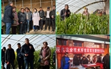 現(xiàn)代農(nóng)業(yè)技術(shù)系開展“喜迎己亥新春佳節(jié)、送科技送文化下鄉(xiāng)”主題黨日活動(dòng)