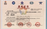 2023年一帶一路暨金磚國家技能發(fā)展與技術創(chuàng)新大賽新型電力系統(tǒng)的設計實施賽項一等獎
