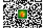 武威職業(yè)學(xué)院關(guān)于2019年單獨招生測試成績查詢及錄取結(jié)果的聲明