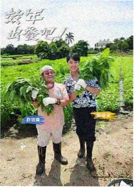 全能综艺王